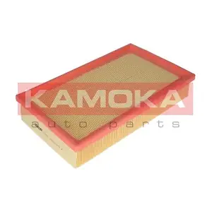 KAMOKA F227301