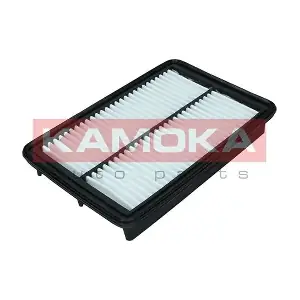 F246301 KAMOKA