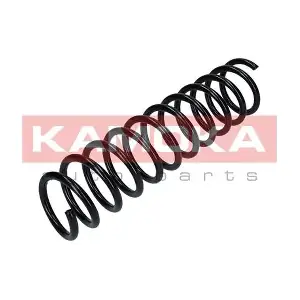 2120236 KAMOKA