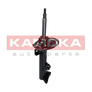 2000071 KAMOKA