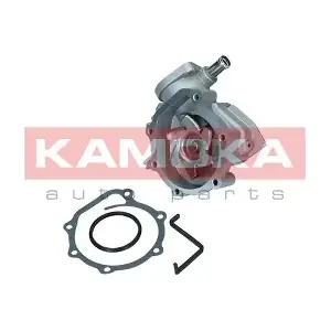 T0260 KAMOKA