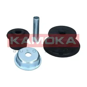 209245 KAMOKA