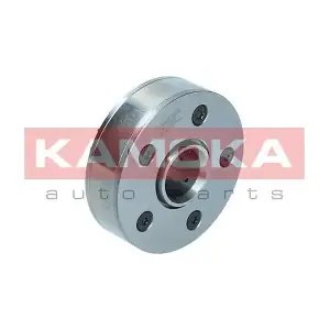 RV022 KAMOKA