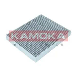 F513001 KAMOKA