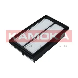 F238501 KAMOKA