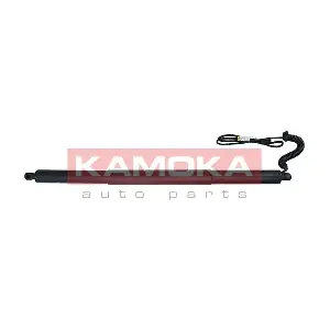 7094019 KAMOKA