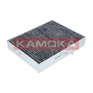 KAMOKA F509501