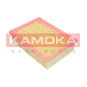 KAMOKA F218401