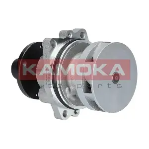KAMOKA T0058