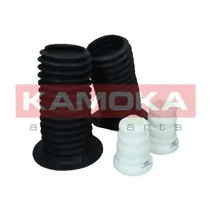 2019211 KAMOKA