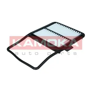 F254501 KAMOKA
