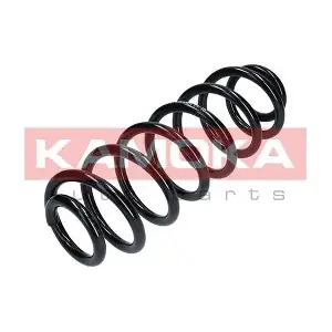 2120224 KAMOKA