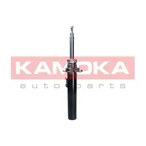 2001113 KAMOKA