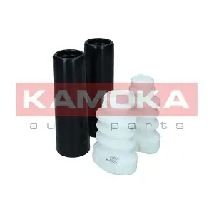2019111 KAMOKA