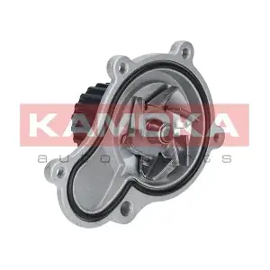 KAMOKA T0076
