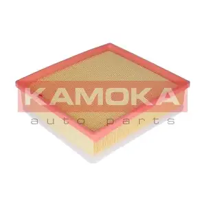 F218301 KAMOKA