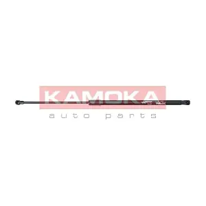 7092148 KAMOKA