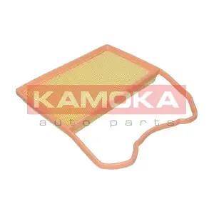 F251001 KAMOKA
