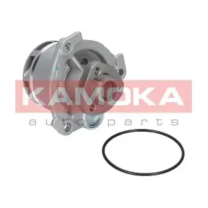 KAMOKA T0234