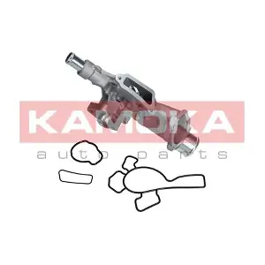 KAMOKA T0225