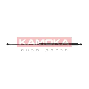 7092203 KAMOKA