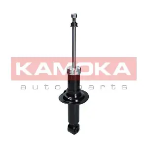 2000699 KAMOKA