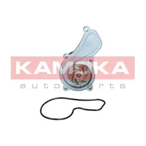 KAMOKA T0305