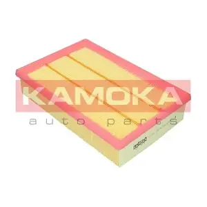 KAMOKA F212401
