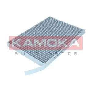 KAMOKA F519601
