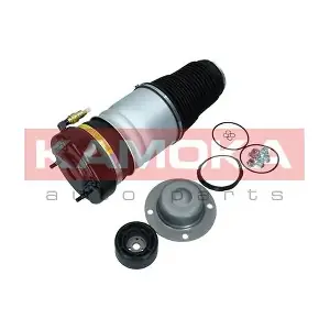 2079001 KAMOKA