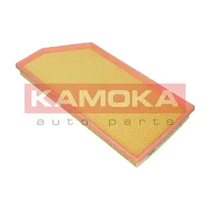 F243801 KAMOKA
