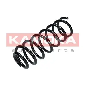 2120298 KAMOKA