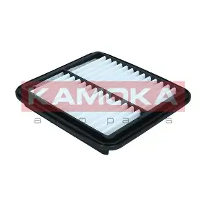 F254601 KAMOKA