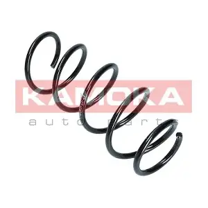 2110284 KAMOKA