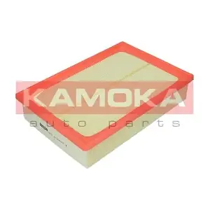KAMOKA F222401