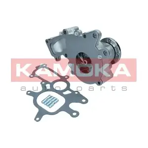 T0267 KAMOKA