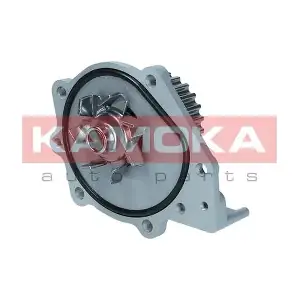 KAMOKA T0174