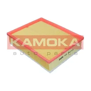 KAMOKA F259001