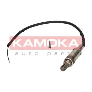 17001 KAMOKA