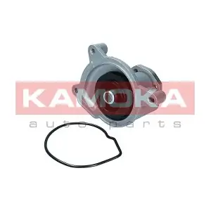 T0021 KAMOKA