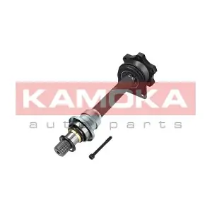 VW111003 KAMOKA