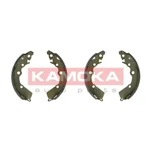 JQ202096 KAMOKA