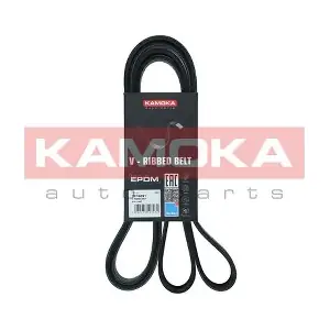 7016231 KAMOKA