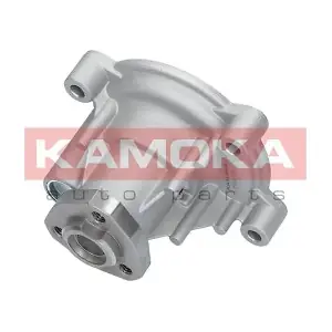 KAMOKA T0272