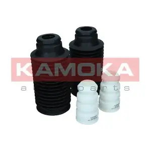 2019113 KAMOKA