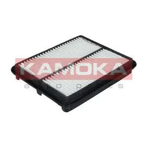 F210001 KAMOKA