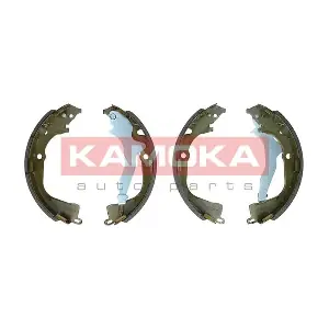 JQ202091 KAMOKA