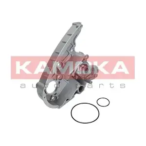 KAMOKA T0119