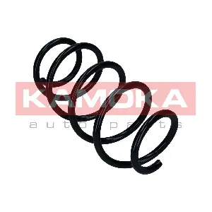 2110818 KAMOKA