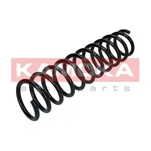 2120237 KAMOKA